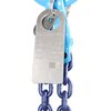 POWERTEX Chain Sling G10 in Box PCSB-A-026